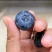优质蓝莓L25H5F6优瑞卡品质保证