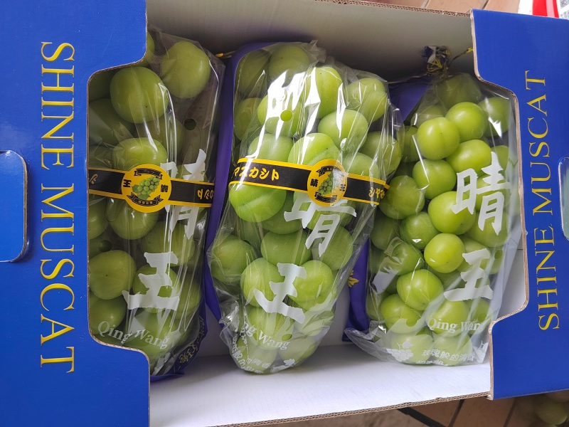 阳光玫瑰葡萄大量上市中