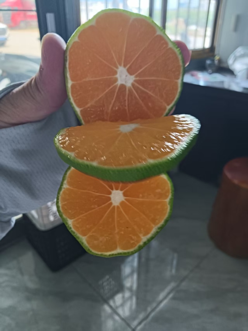云南精品特早蜜橘大量上市品质保证量大从优一手货源