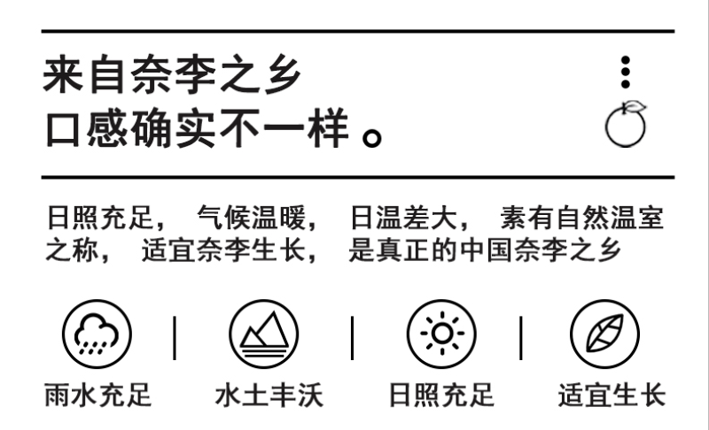 湖南郴州汝城文明翡翠奈李新鲜水果脆甜多汁李子商超电商代