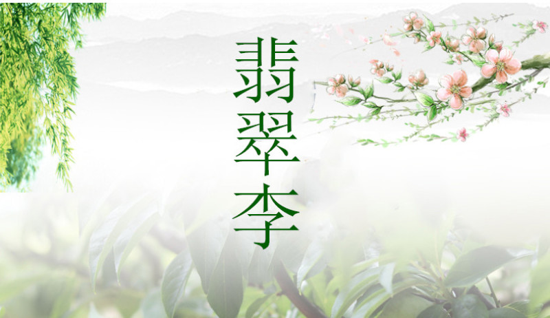 湖南郴州汝城文明翡翠奈李新鲜水果脆甜多汁李子商超电商代