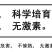 湖南郴州汝城文明翡翠奈李新鲜水果脆甜多汁李子商超电商代