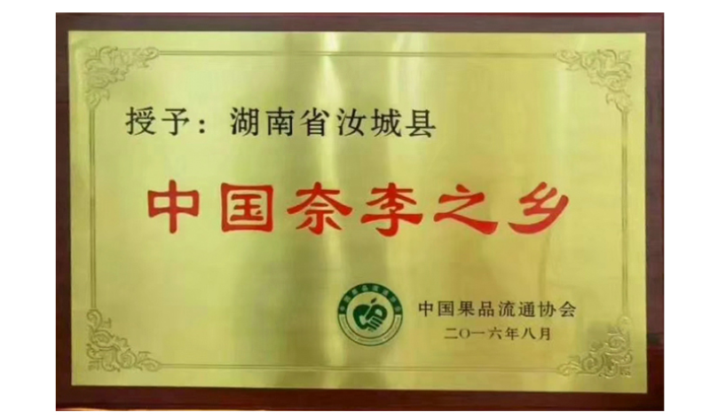 湖南郴州汝城文明翡翠奈李新鲜水果脆甜多汁李子商超电商代