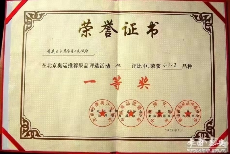 秦安蜜桃北京七号