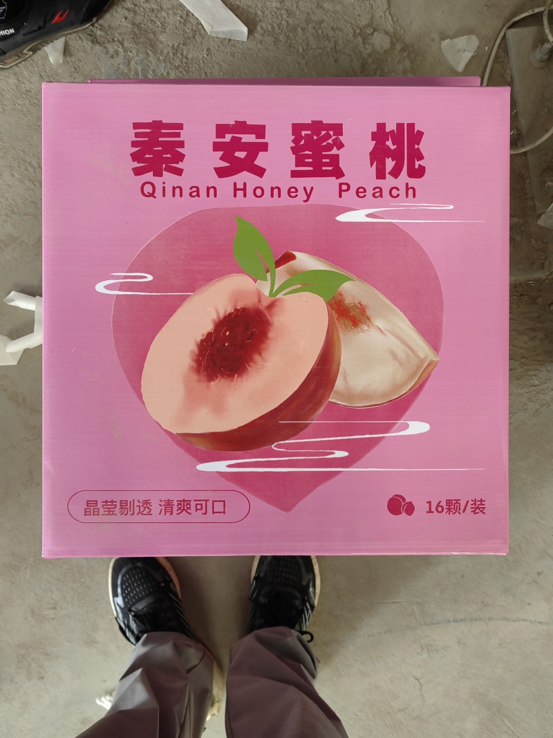 秦安蜜桃北京七号