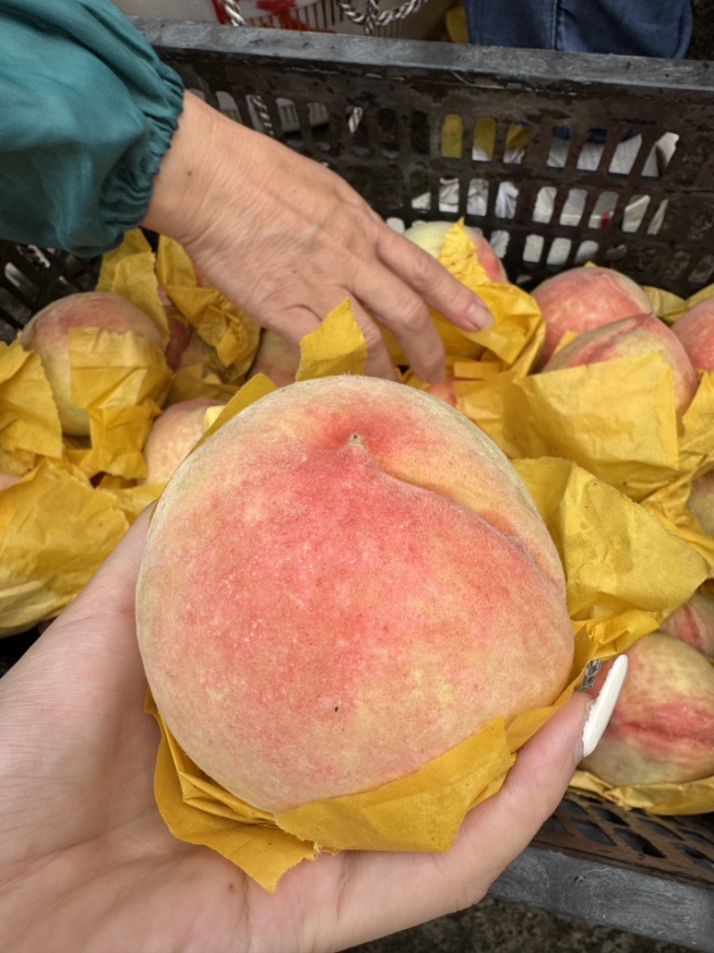 奉化水蜜桃有需要的吗2.5一斤3-4两接超市批发最后几天