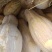 推荐湖北天门老南瓜金韩密本南瓜货源充足量大从优联系