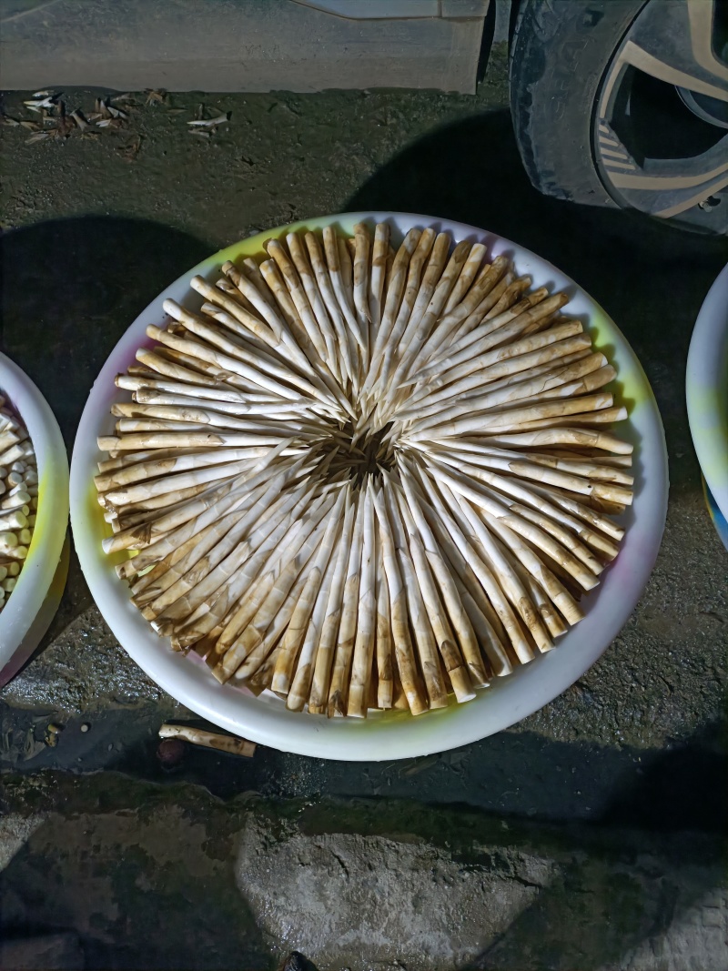 象牙菜