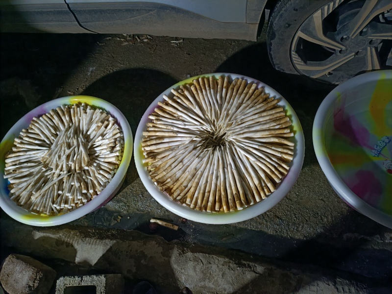 象牙菜