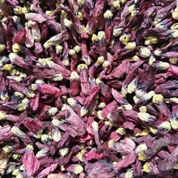 中药材蜀葵花红蜀葵花