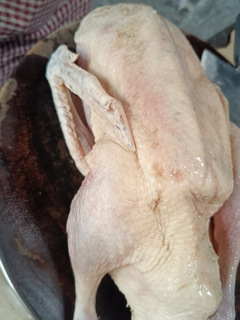 冷冻130天青头鸭，优惠处理，***********