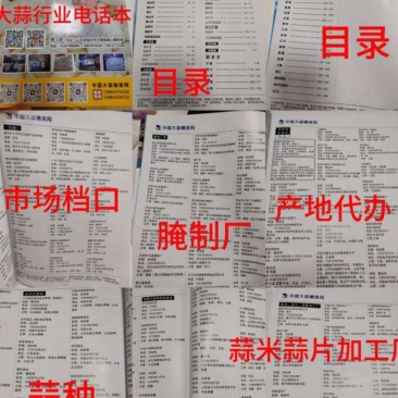 大蒜通讯录