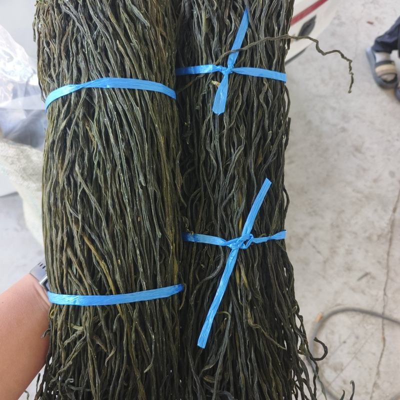 干豆角常年有货源头厂家精品货源