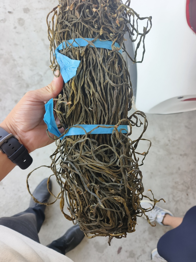 干豆角常年有货源头厂家精品货源