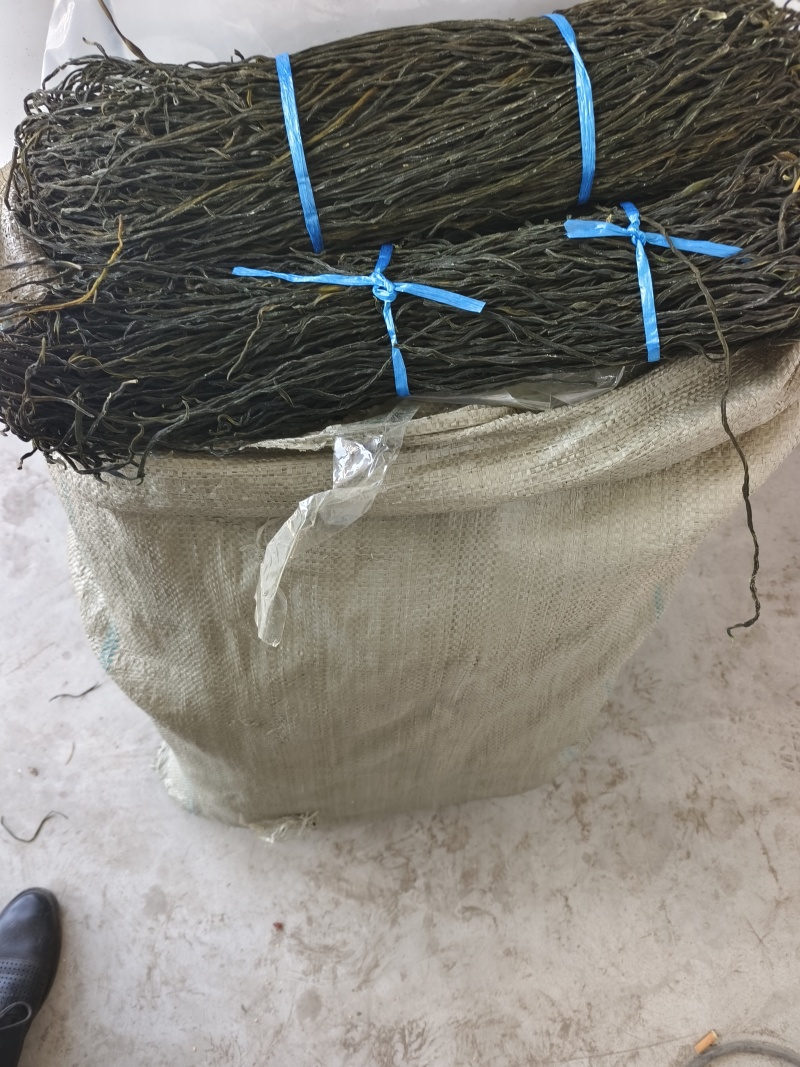干豆角常年有货源头厂家精品货源