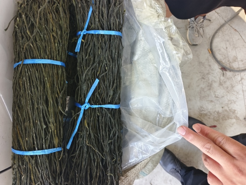 干豆角常年有货源头厂家精品货源
