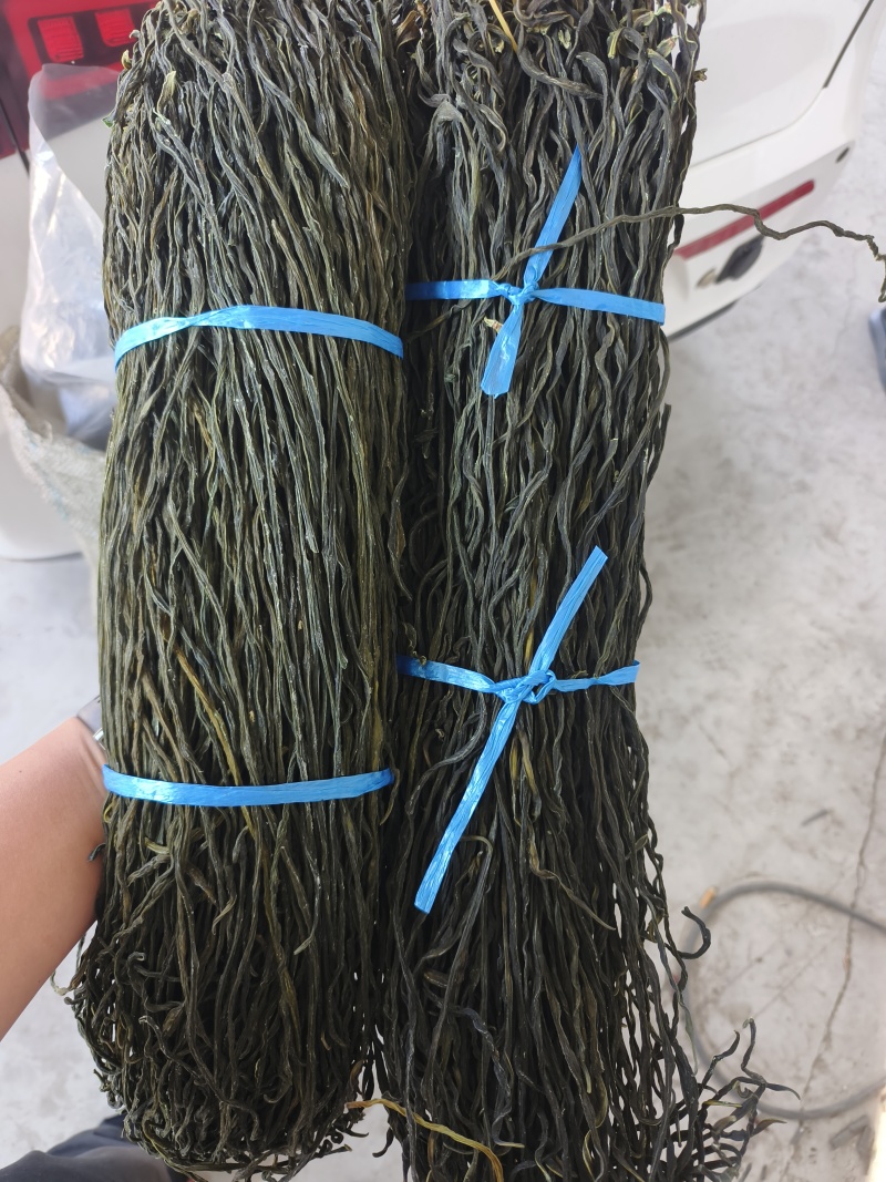 干豆角常年有货源头厂家精品货源