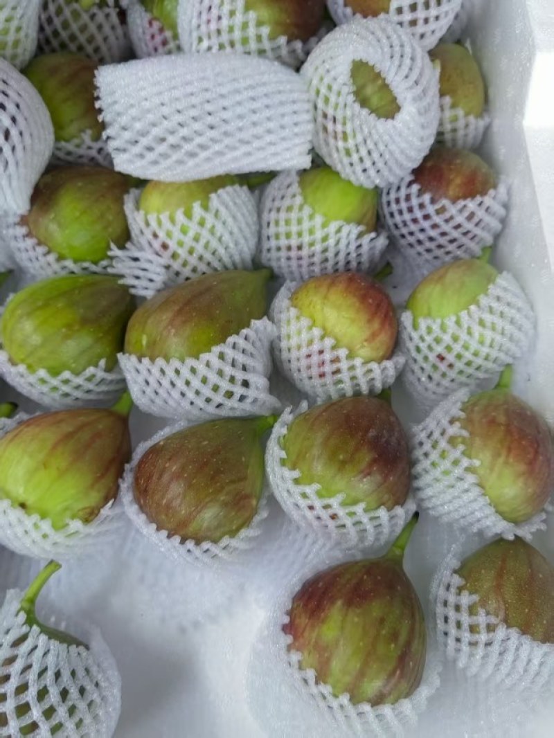 云南昆明基地直发常年有货