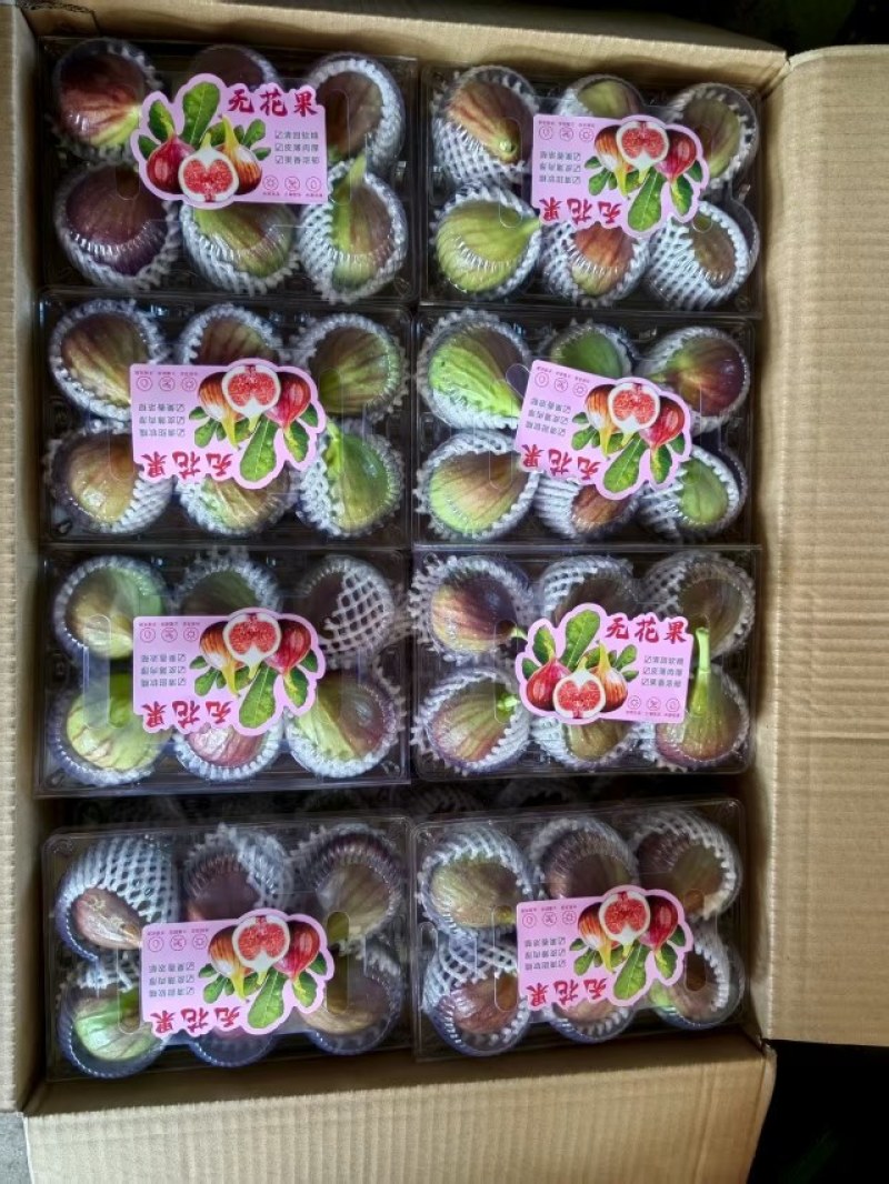 云南昆明基地直发常年有货