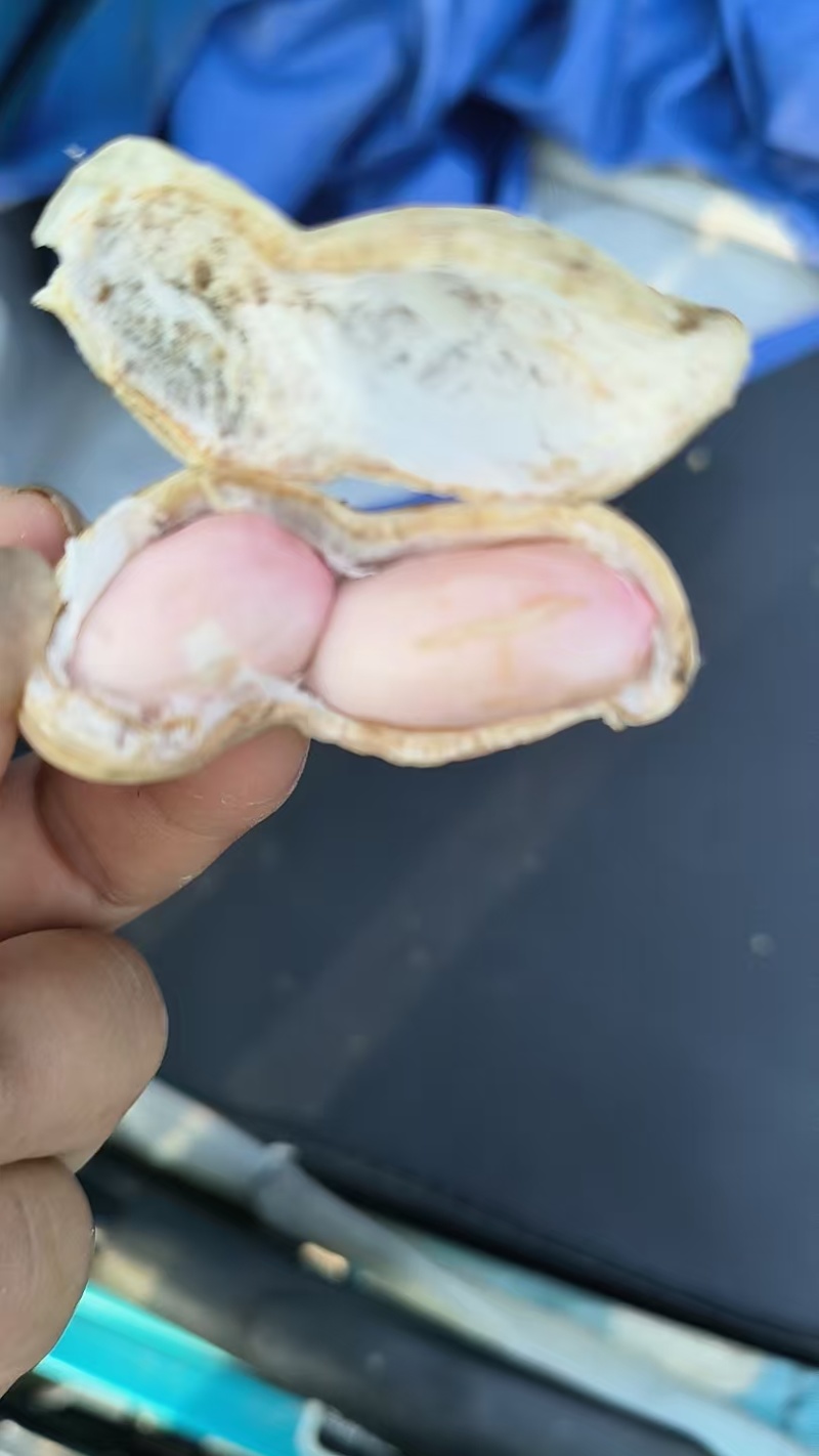 鲜花生
