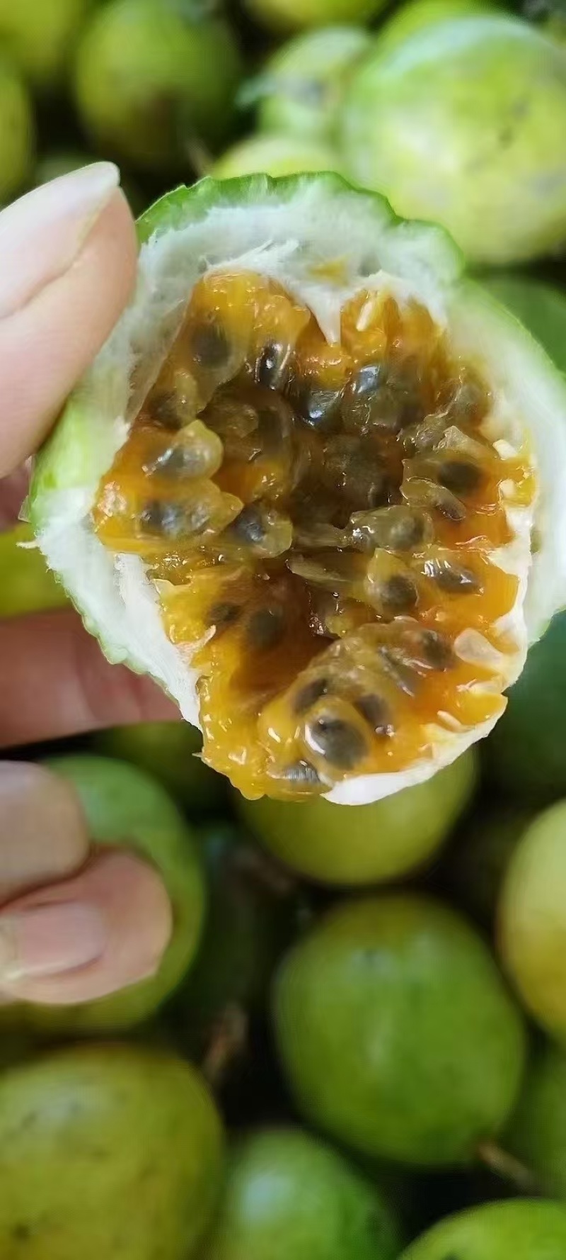 【特大果】正宗百香果广西应季新鲜水果孕妇纯甜整箱