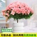 四季杜鹃花盆栽带花苞老桩花卉绿植物室内阳台开花好养易活