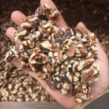 核桃仁大量有货支持全国发货月饼可以用质量好