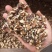 核桃仁大量有货支持全国发货月饼可以用质量好