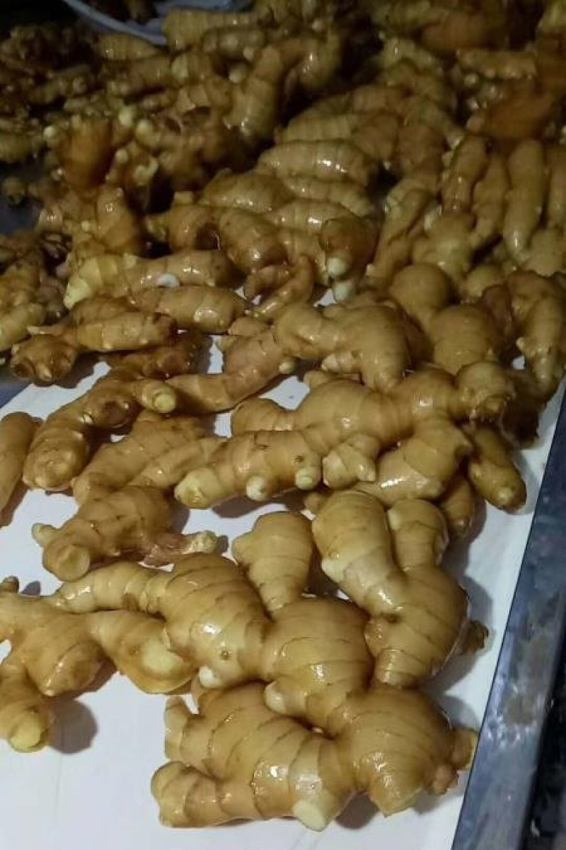 《玉黄大姜》常年供应市场货～商超货～电商货/可全国发货
