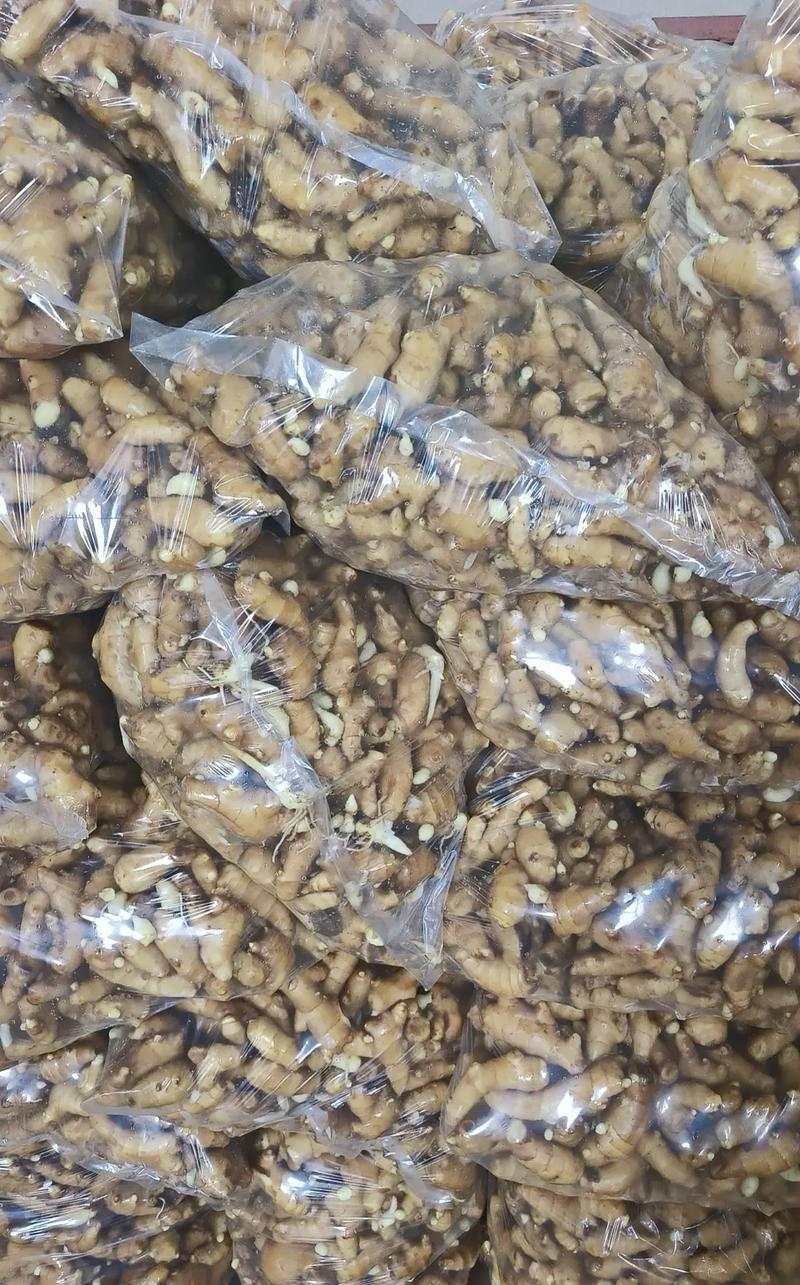 《姜巴&老姜》坏烂包赔/常年供应/批发市场～电商～商超
