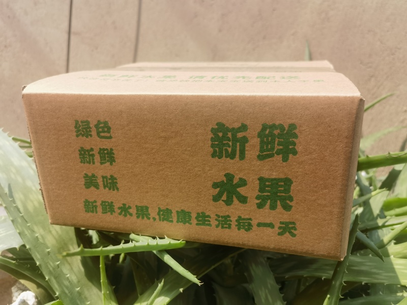 高山梅价低物美一件代发