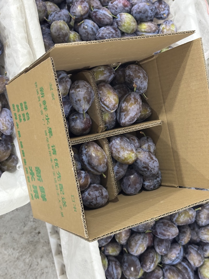 高山西梅一件代发欢迎对接专业电商代发