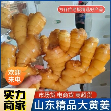 《山东大黄姜》原产地常年有货/代收代发代存/欢迎来电