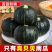 正宗贝贝南瓜厂家直发甜糯板栗味婴儿辅食贝贝板栗南瓜