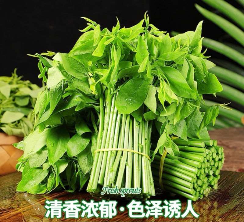 基地现摘树仔菜
