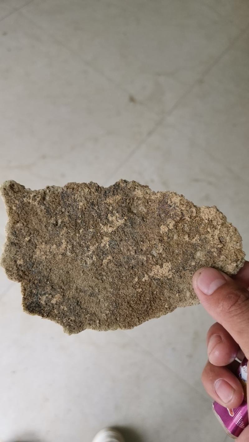 紫霄花，慢慢进入踩收状态
