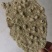 紫霄花，慢慢进入踩收状态