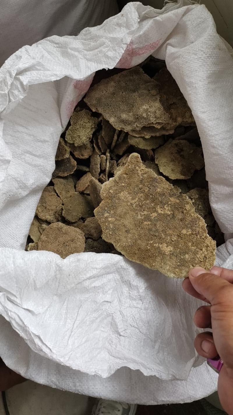 紫霄花，慢慢进入踩收状态