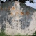 大基地米枣