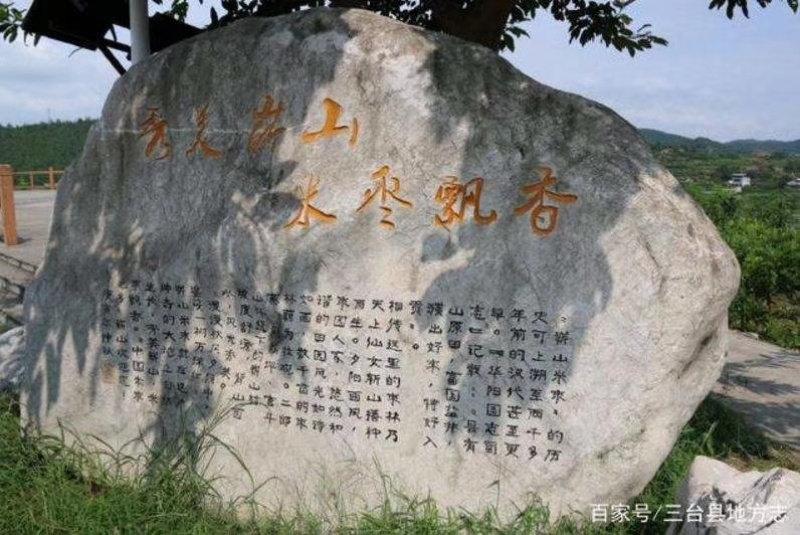 大基地米枣