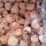 原油羊腰子