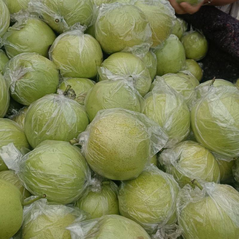 皇冠梨