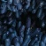 蓝宝石葡萄