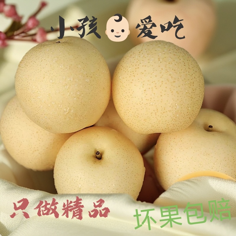 河北赵县皇冠果大量有货，质量保证/价格合理/对接超市
