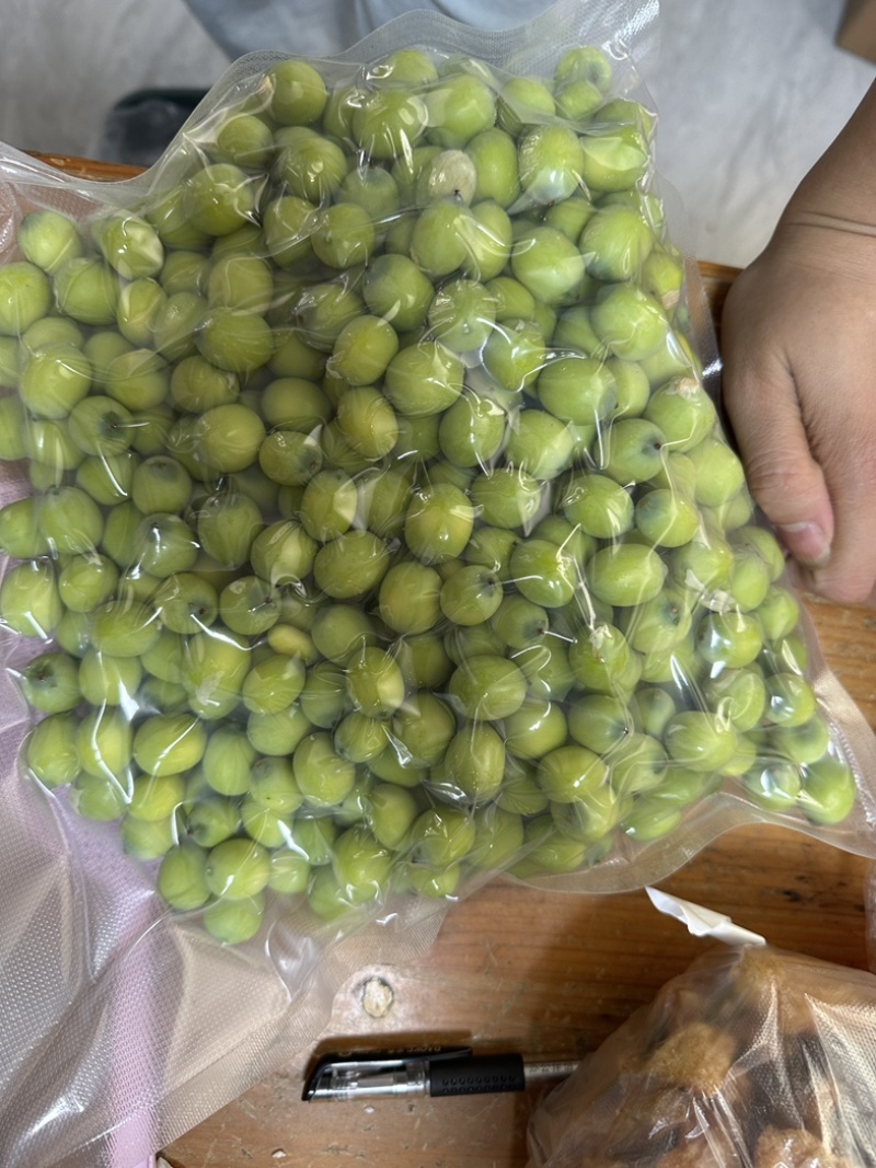 水果莲蓬深圳广州有物流专线