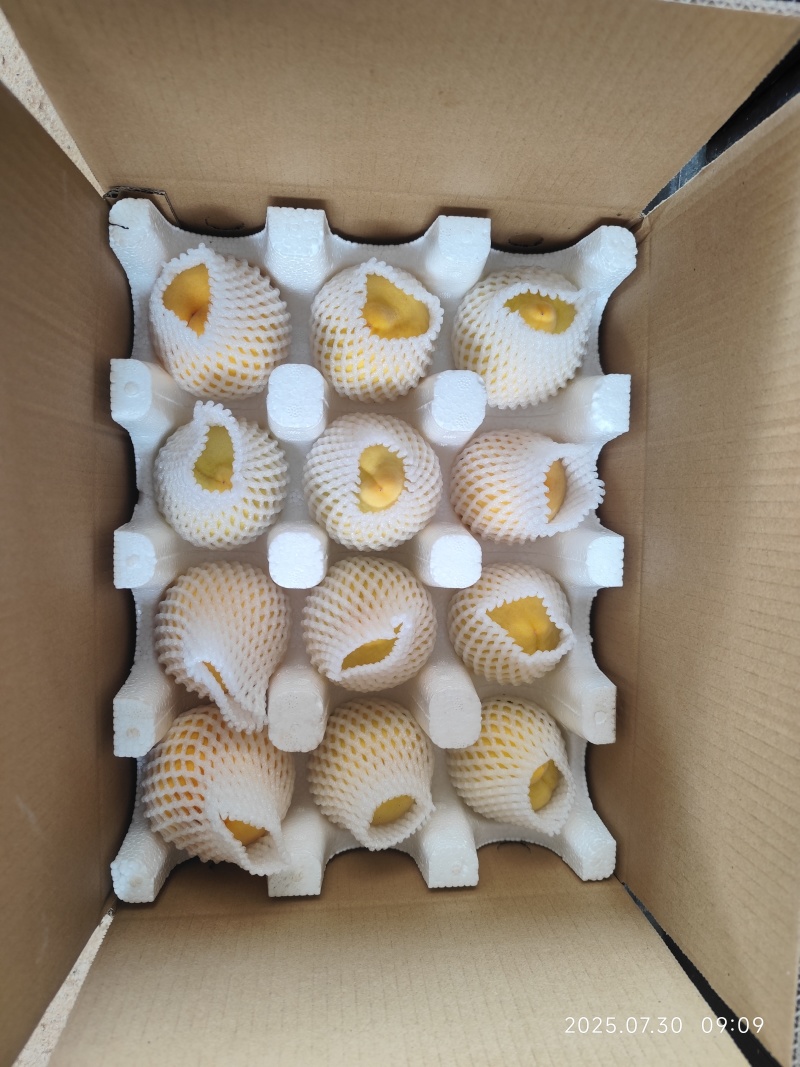黄桃