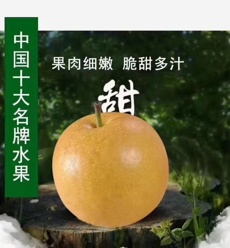 百里洲黄花梨