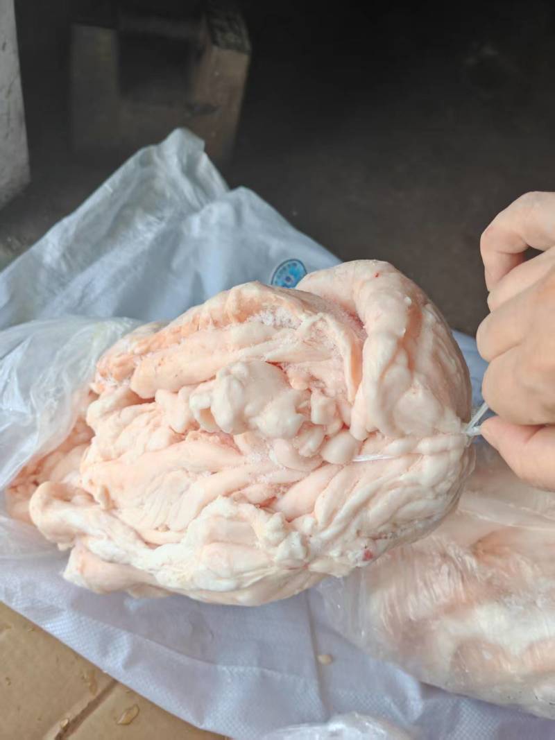 肥猪吊挂板油/袋装折叠板油都有货，新货新开