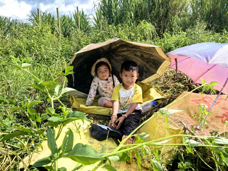鲜黑花生、鲜七彩花生、基地一手货源