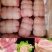 【酱肘花】熟食店必备五香捆肘成品老汤上色即可
